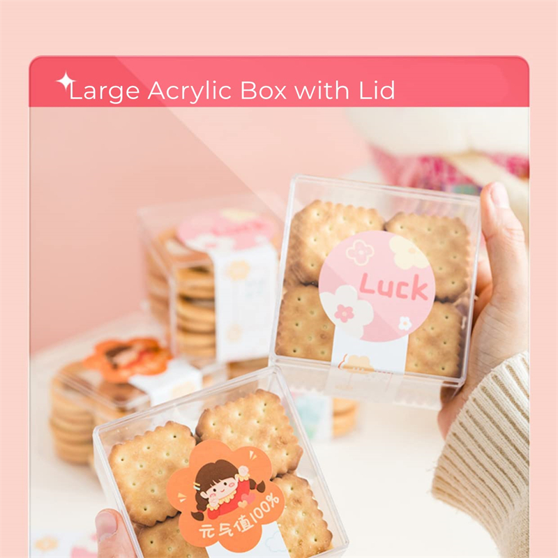 صناديق أكريليك شفافة بغطاء ، م - مراجعة Xmas Food Storage Containers وسعره